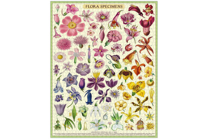 Cavallini 1000 Piece Puzzle - Flora Specimens