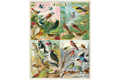 Cavallini 1000 Piece Puzzle - World of Birds