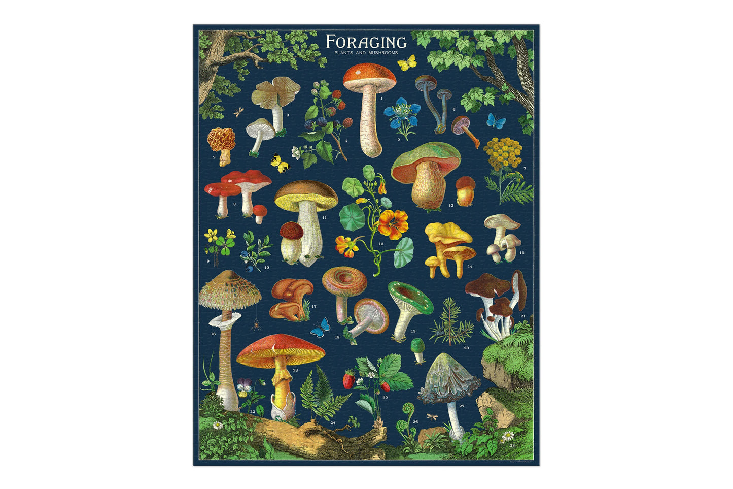 Cavallini 1000 Piece Puzzle - Foraging | Flywheel | Stationery | Tasmania