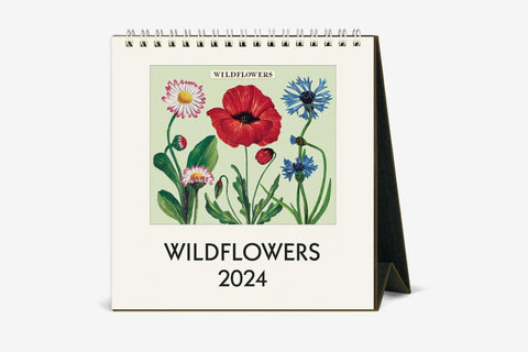 Cavallini 2024 Desk Calendar - Wildflowers