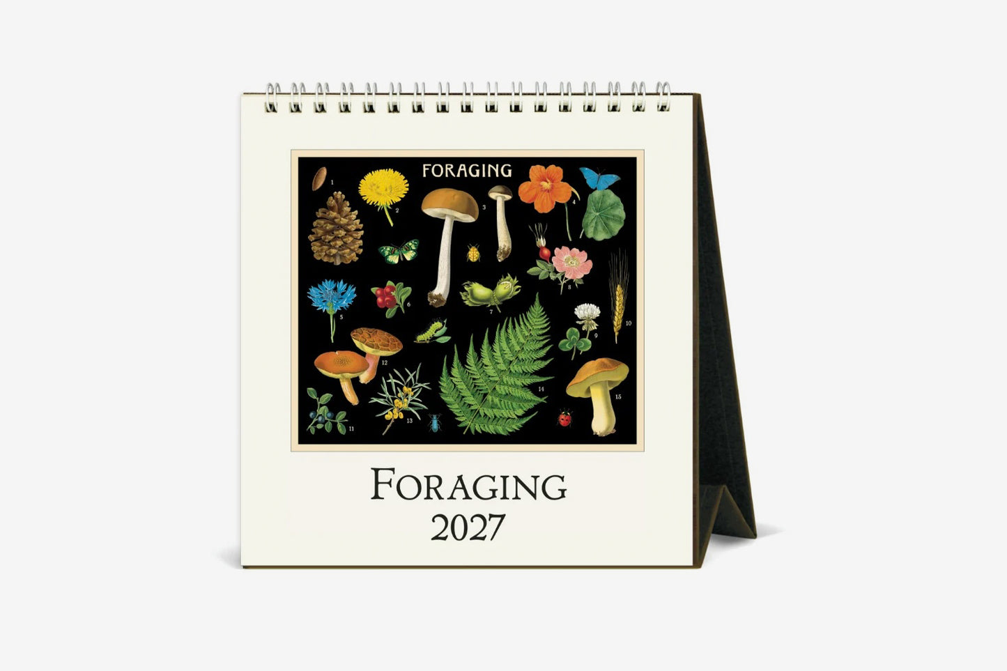 Cavallini 2027 Desk Calendar - Foraging