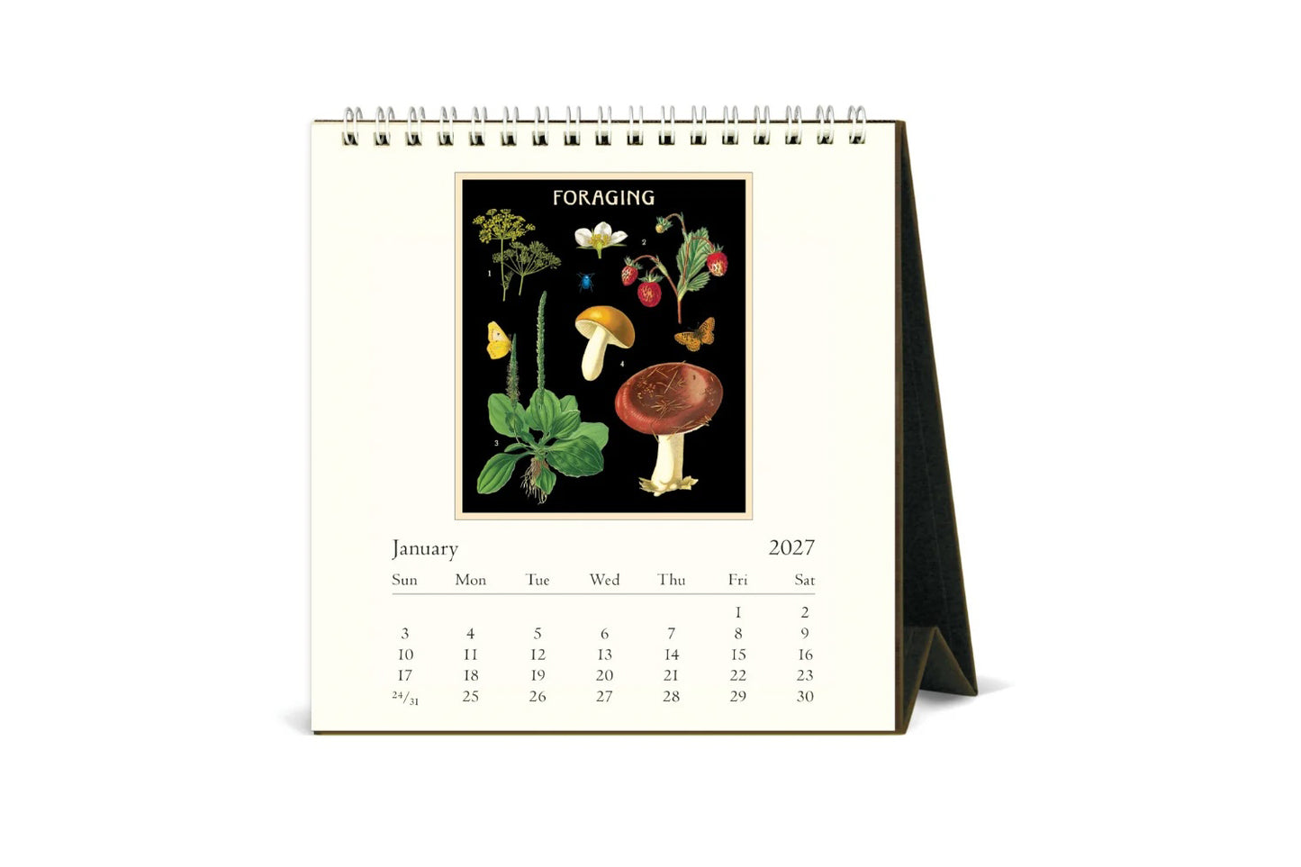 Cavallini 2027 Desk Calendar - Foraging