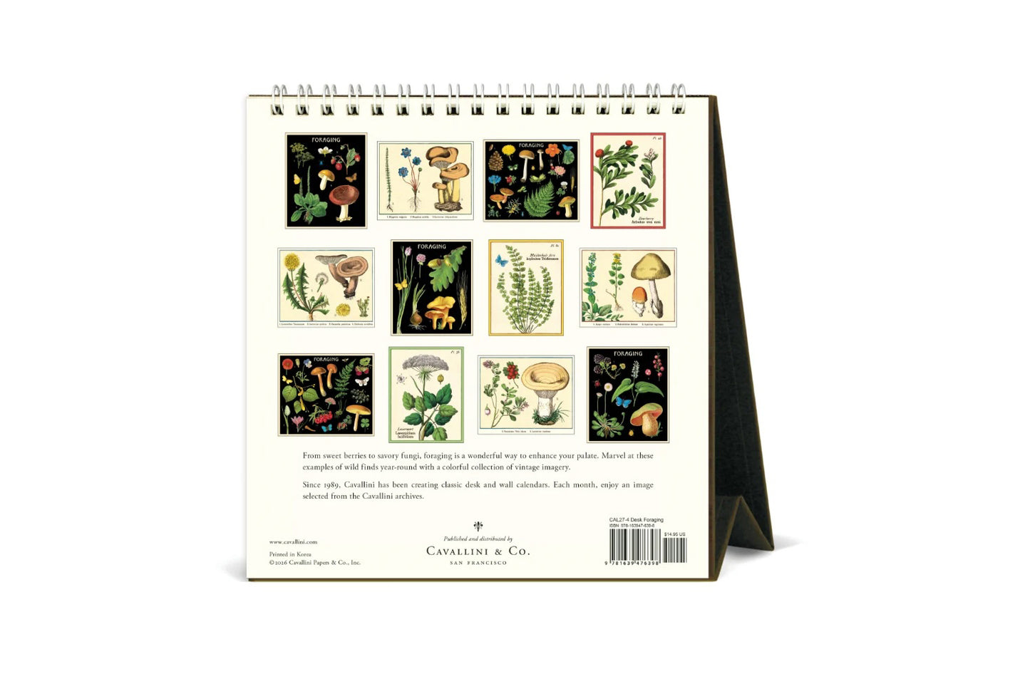 Cavallini 2027 Desk Calendar - Foraging