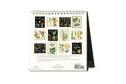 Cavallini 2027 Desk Calendar - Foraging