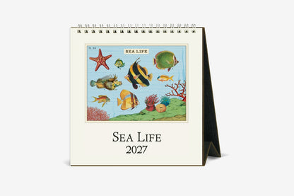 Cavallini 2027 Desk Calendar - Sea Life