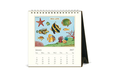 Cavallini 2027 Desk Calendar - Sea Life