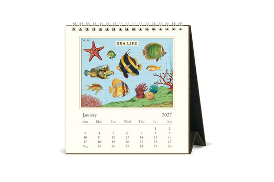 Cavallini 2027 Desk Calendar - Sea Life