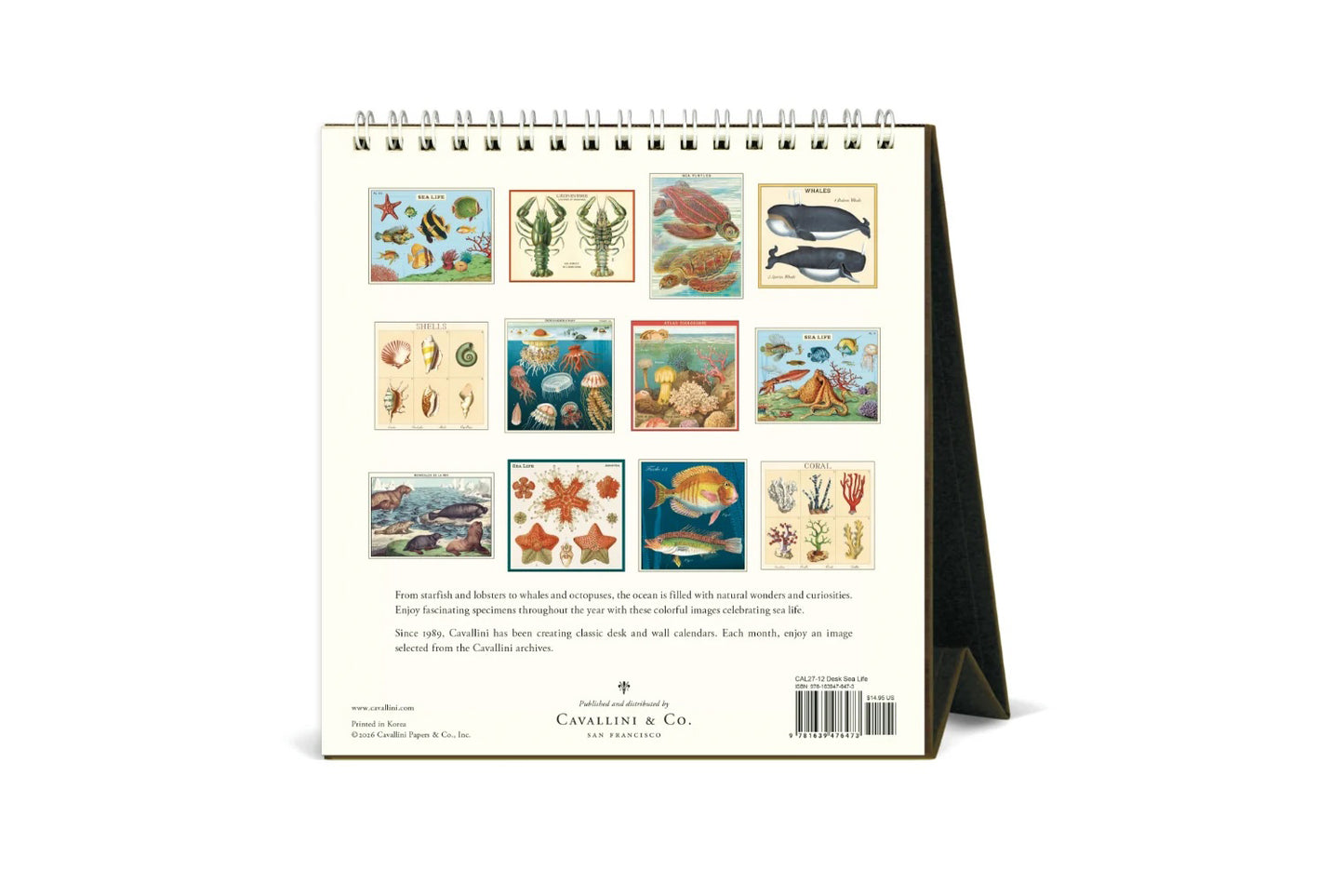 Cavallini 2027 Desk Calendar - Sea Life