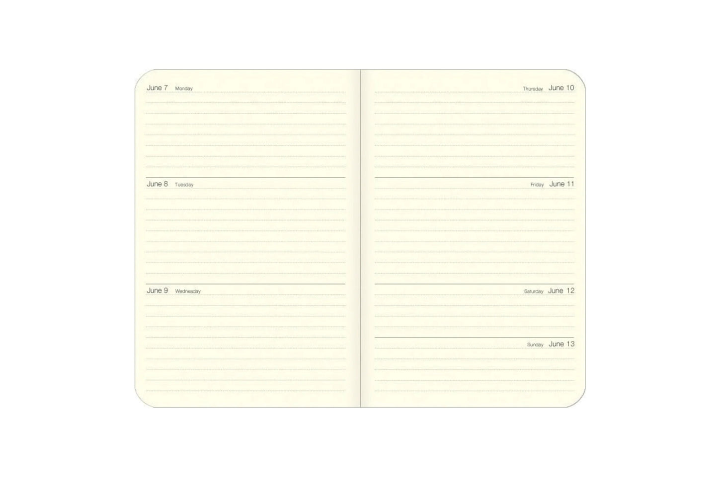 Cavallini 2027 Weekly Planner - Foraging