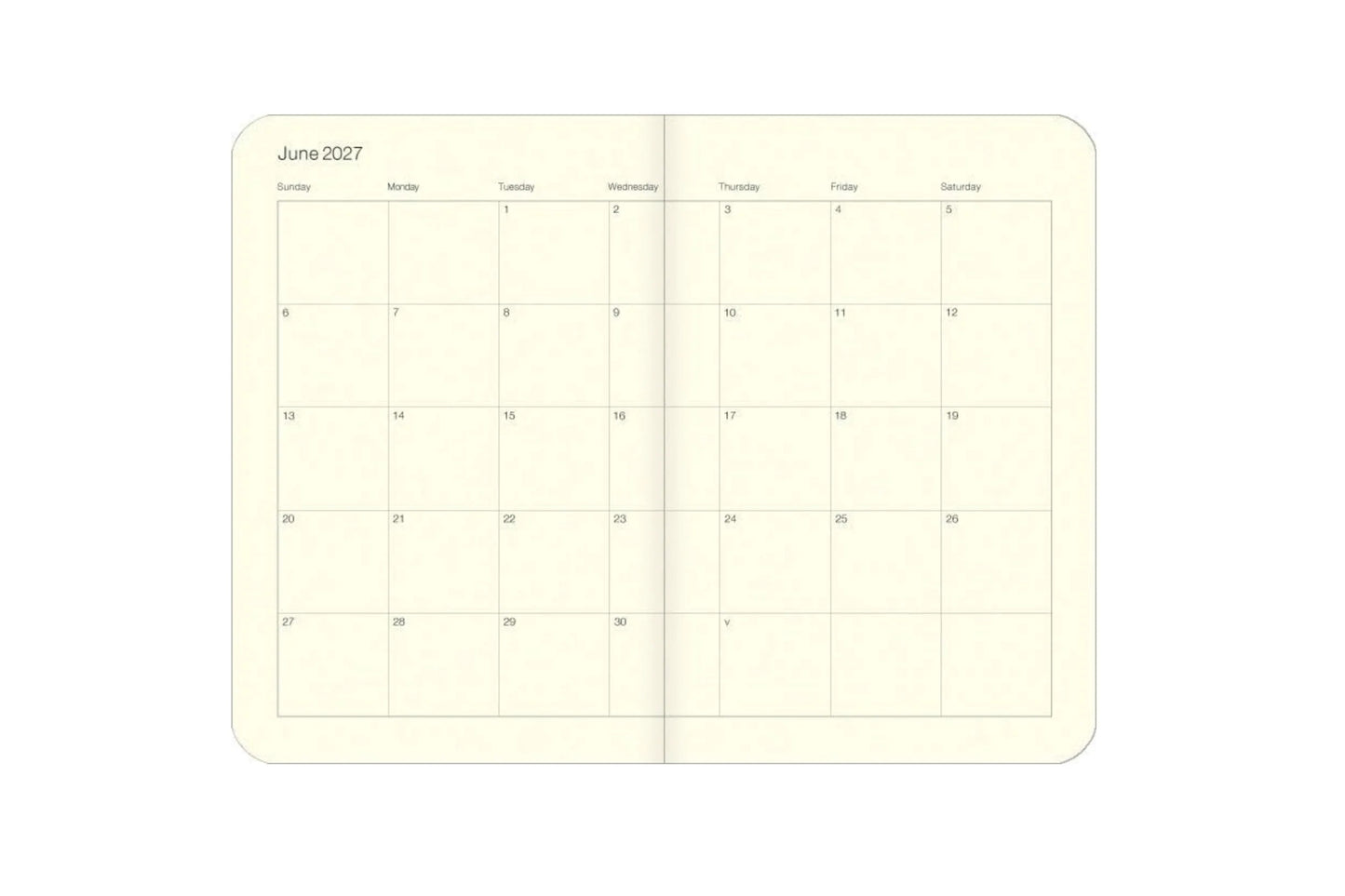 Cavallini 2027 Weekly Planner - Ocean Fauna