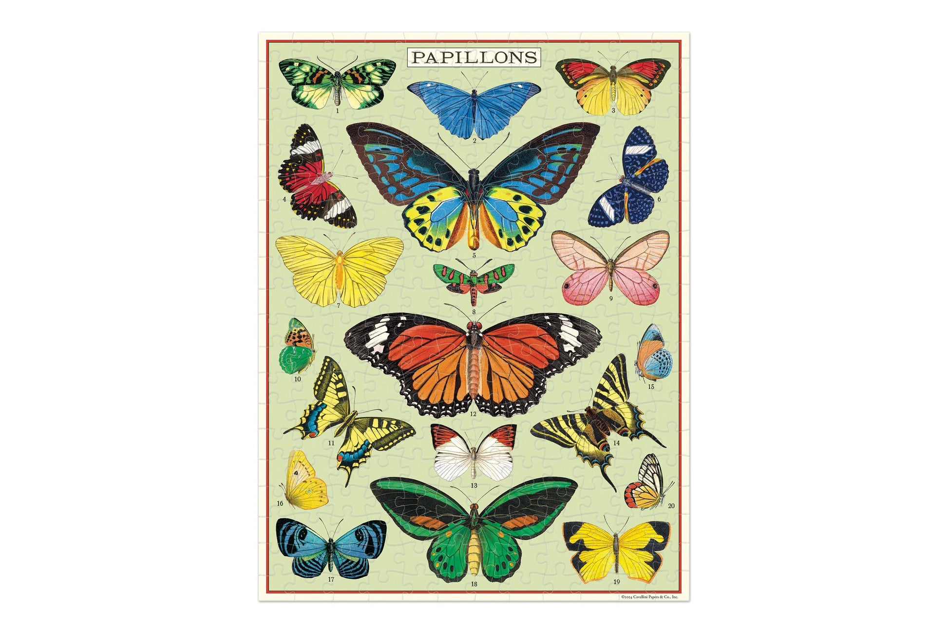 Cavallini 240 Piece Puzzle - Butterflies | Flywheel | Stationery | Tasmania