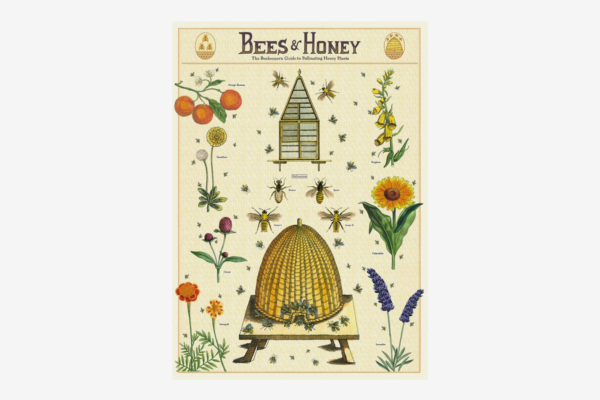 Cavallini Poster - Bees & Honey