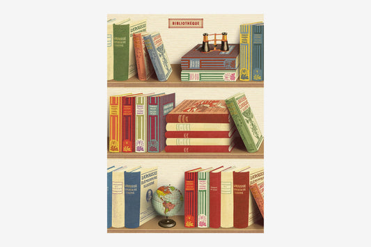 Cavallini Poster - Library Books Gift wrap Flywheel Stationery Tasmania