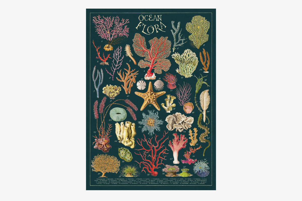 Cavallini Poster - Ocean Flora