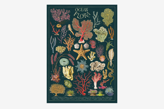 Cavallini Poster - Ocean Flora Gift wrap Flywheel Stationery Tasmania