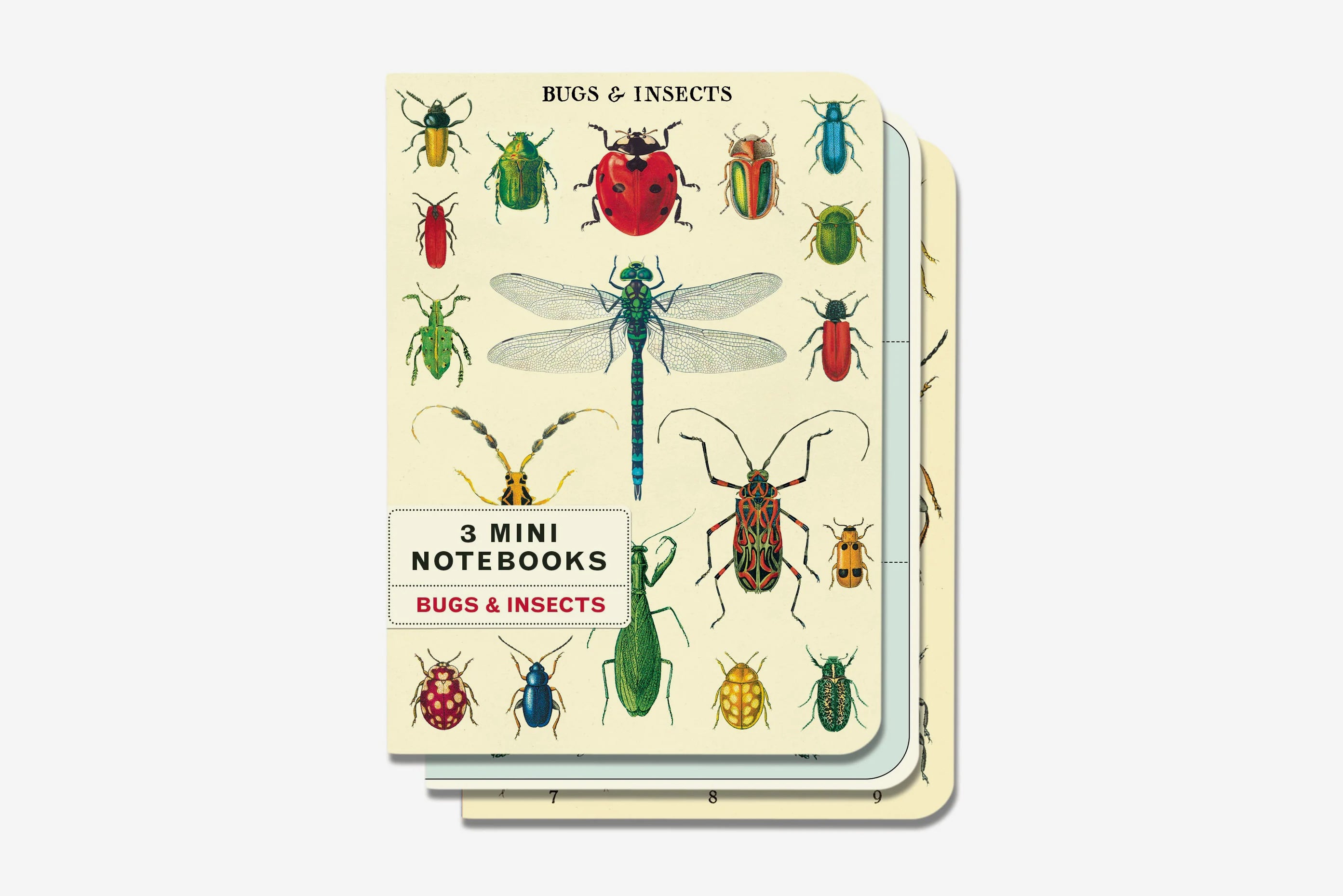 Insect Notebook Cavallini Mini Notebook Set - Bugs & Insects – Flywheel