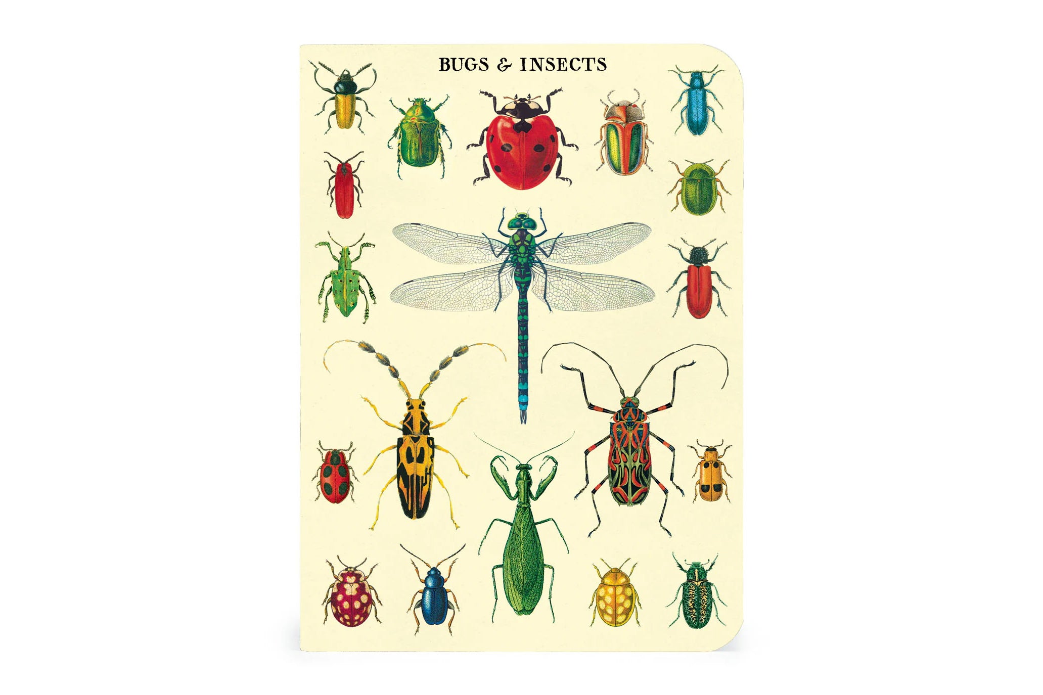 Notebooks & Notepads – Flywheel