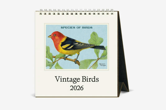 Cavallini 2026 Desk Calendar - Vintage Birds | Flywheel | Stationery | Tasmania