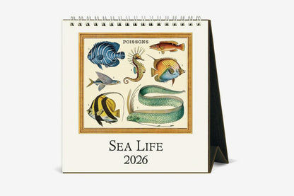 Cavallini 2026 Desk Calendar - Sea Life | Flywheel | Stationery | Tasmania