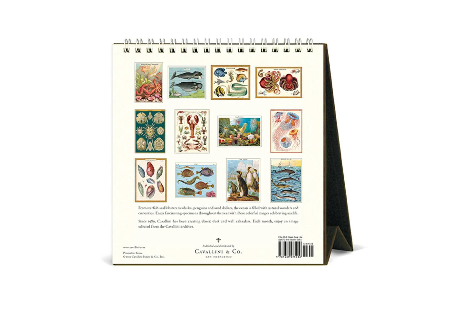 Cavallini 2026 Desk Calendar - Sea Life | Flywheel | Stationery | Tasmania