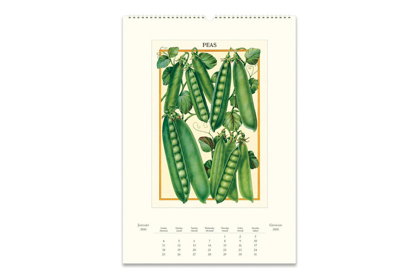 Cavallini 2026 Wall Calendar - Farmer's Market | Flywheel | Stationery | Tasmania