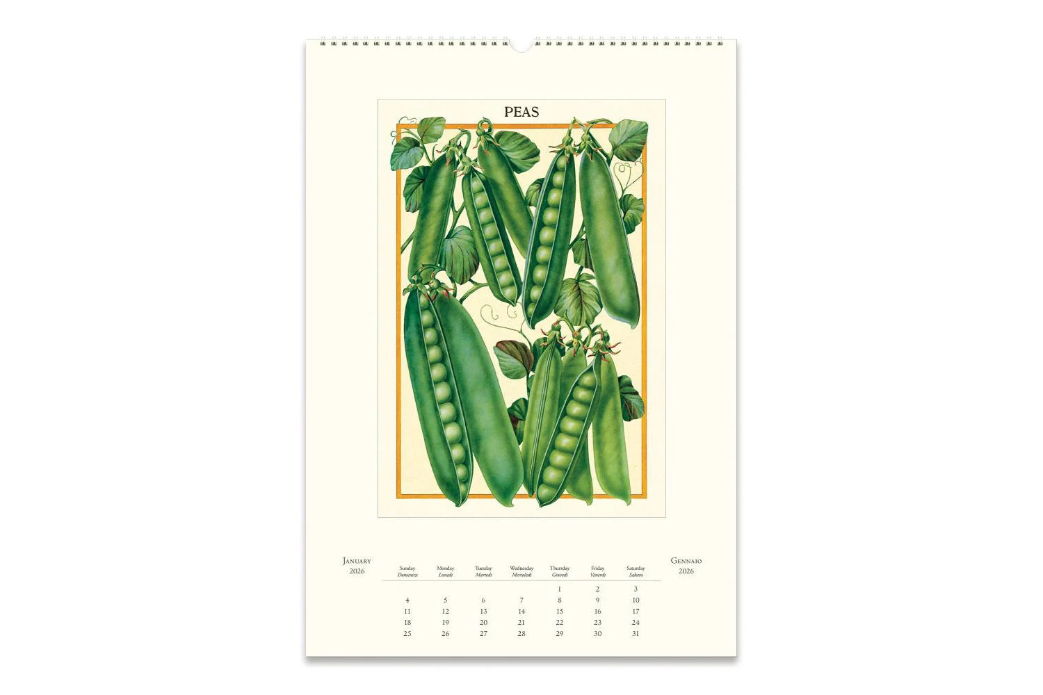 Cavallini 2026 Wall Calendar - Farmer's Market | Flywheel | Stationery | Tasmania