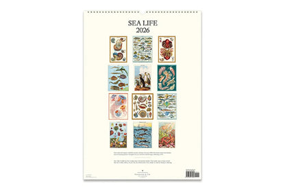 Cavallini 2026 Wall Calendar - Sea Life | Flywheel | Stationery | Tasmania