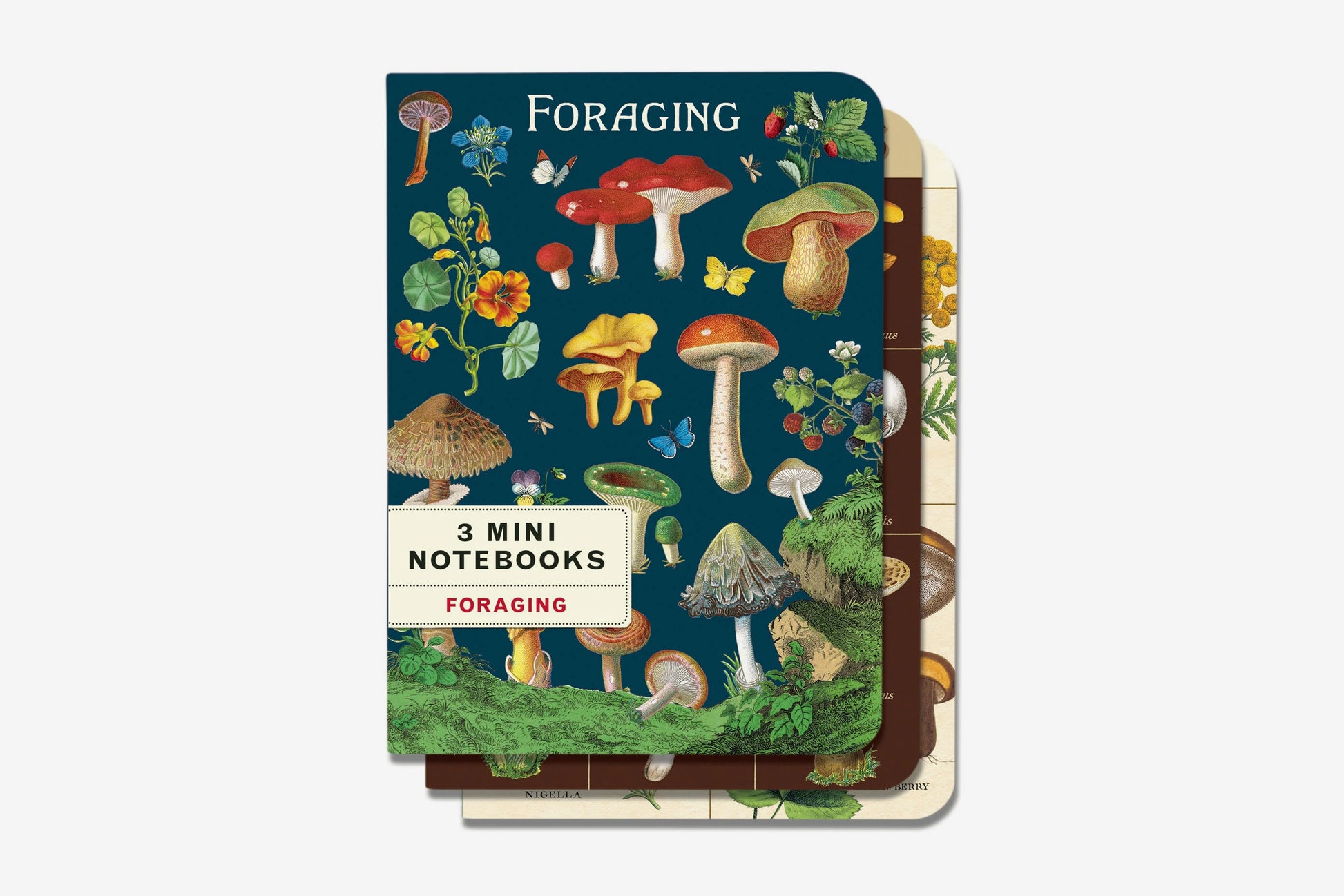 Cavallini Mini Notebook Set - Foraging | Flywheel | Stationery | Tasmania