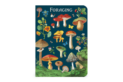 Cavallini Mini Notebook Set - Foraging | Flywheel | Stationery | Tasmania