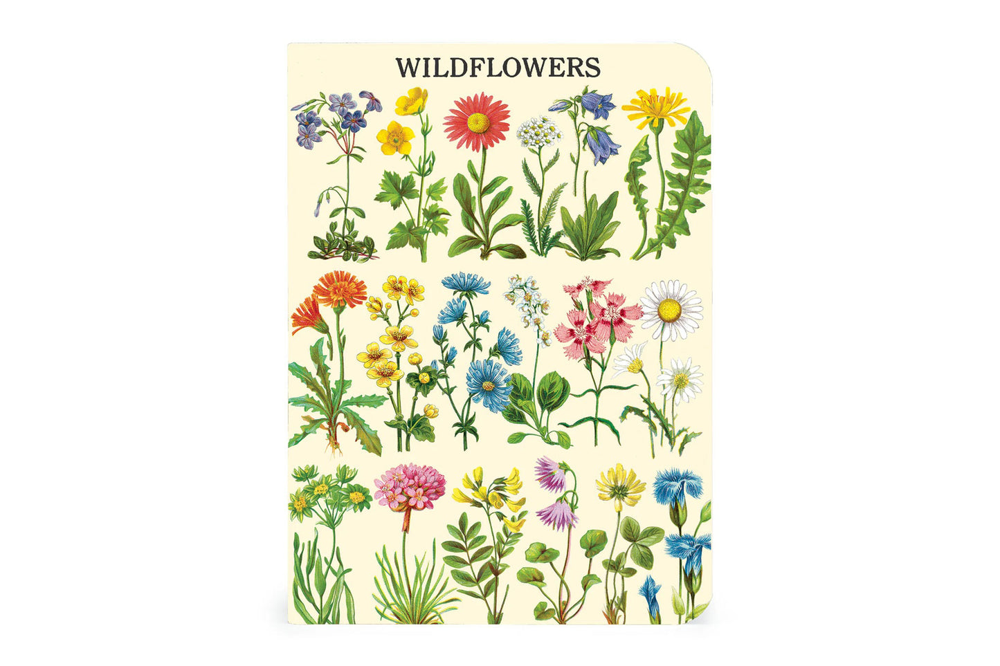 Cavallini Mini Notebook Set - Wildflowers | Flywheel | Stationery | Tasmania