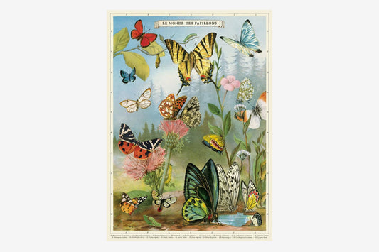 Cavallini Poster - Butterflies Scene | Flywheel | Stationery | Tasmania