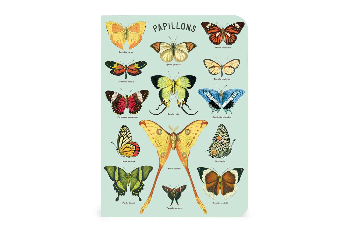 Cavallini Mini Notebook Set - Butterflies | Flywheel | Stationery | Tasmania