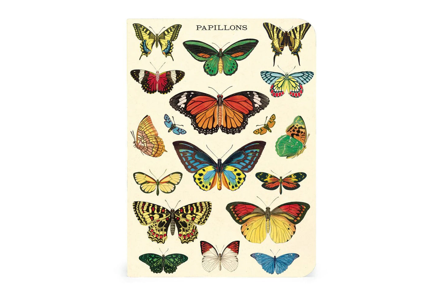 Cavallini Mini Notebook Set - Butterflies | Flywheel | Stationery | Tasmania
