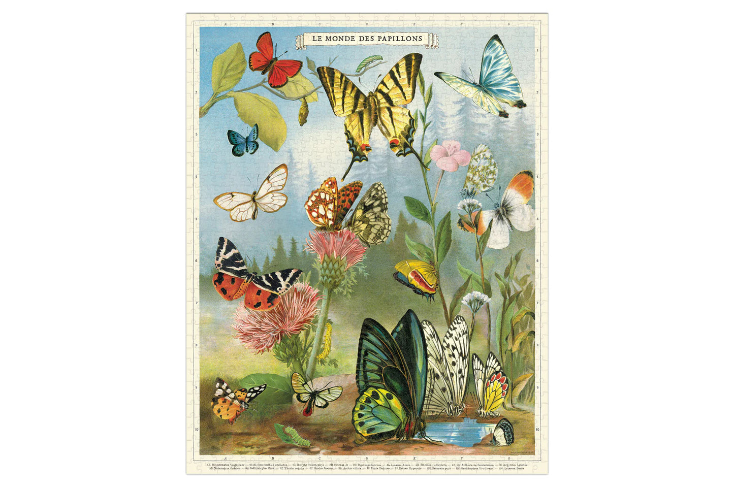Cavallini 1000 Piece Puzzle - World of Butterflies | Flywheel | Stationery | Tasmania