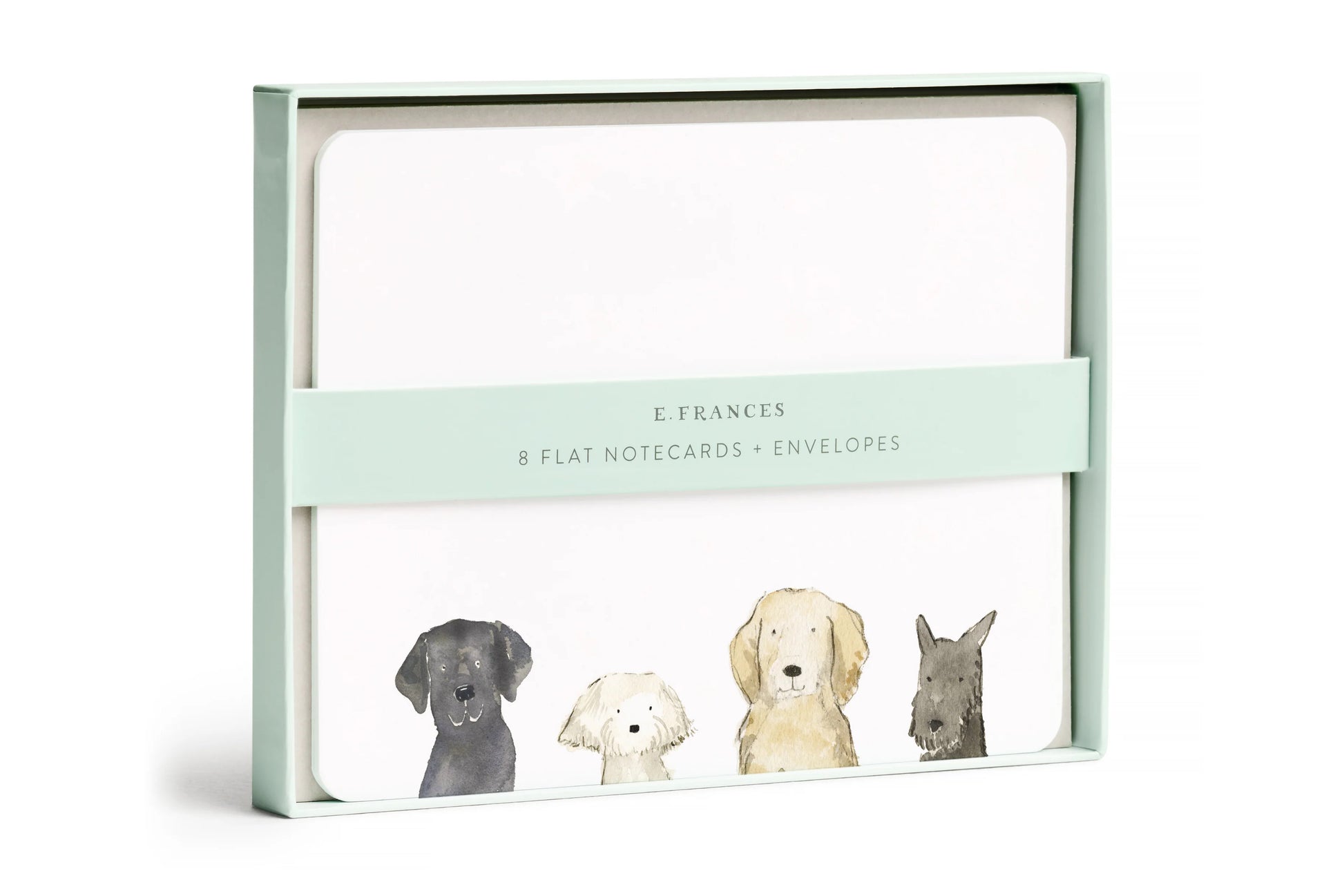 E. Frances Flat Note Boxed Set - Dog Days | Flywheel | Stationery | Tasmania
