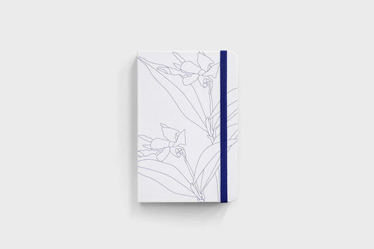Father Rabbit Hardcover Notebook - Blue Jasmine | Flywheel | Stationery | Tasmania
