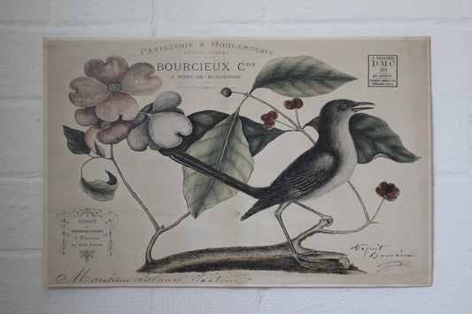 Monahan Poster - Bird with Pink Flower | Flywheel | Stationery | Tasmania