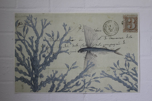 Monahan Poster - Flying Fish | Flywheel | Stationery | Tasmania