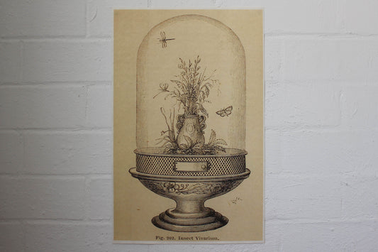 Monahan Poster - Insect Vivarium | Flywheel | Stationery | Tasmania