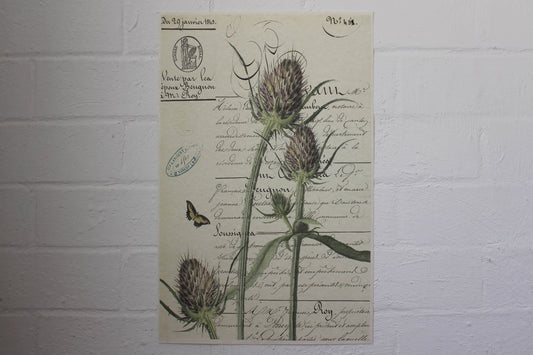 Monahan Poster - Thistle | Flywheel | Stationery | Tasmania