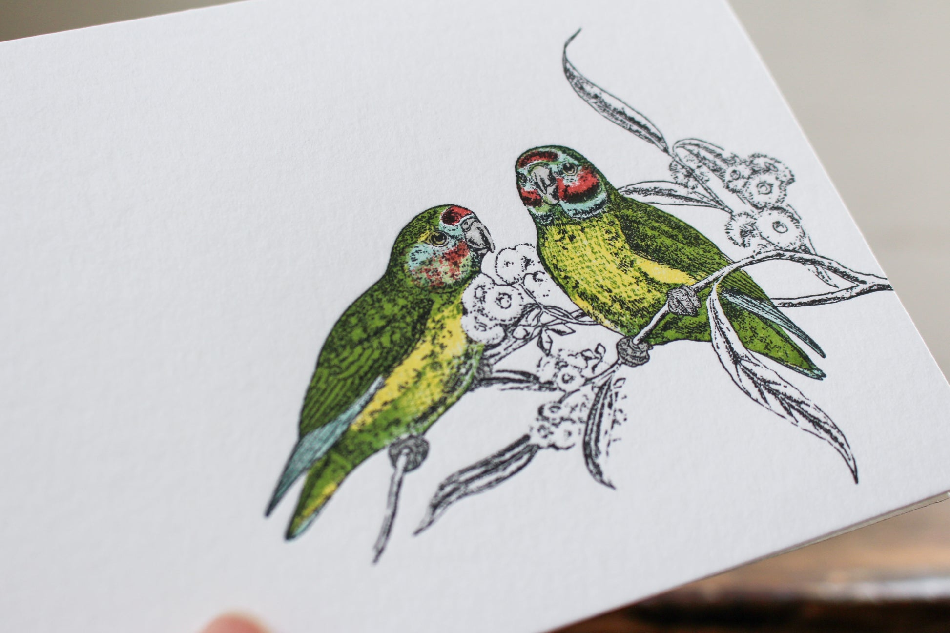 Letterpress Greeting Card - Parakeets | Flywheel | Stationery | Tasmania