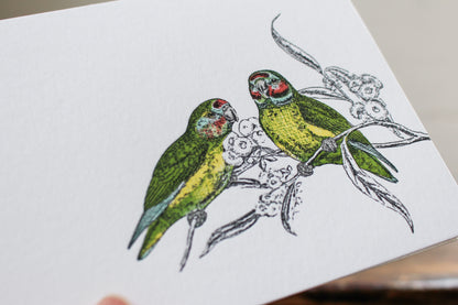 Letterpress Greeting Card - Parakeets | Flywheel | Stationery | Tasmania