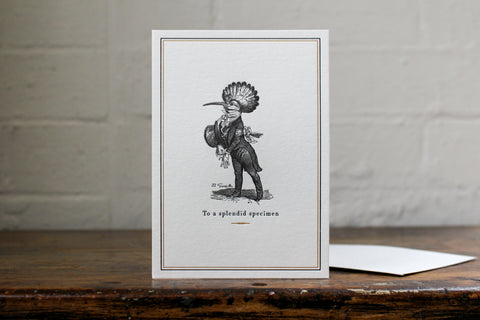 Letterpress Greeting Card - To a Splendid Specimen