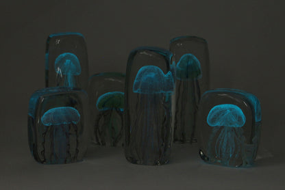 Here by Detail Jellyfish Paper Weight - Square/Blue | Flywheel | Stationery | Tasmania