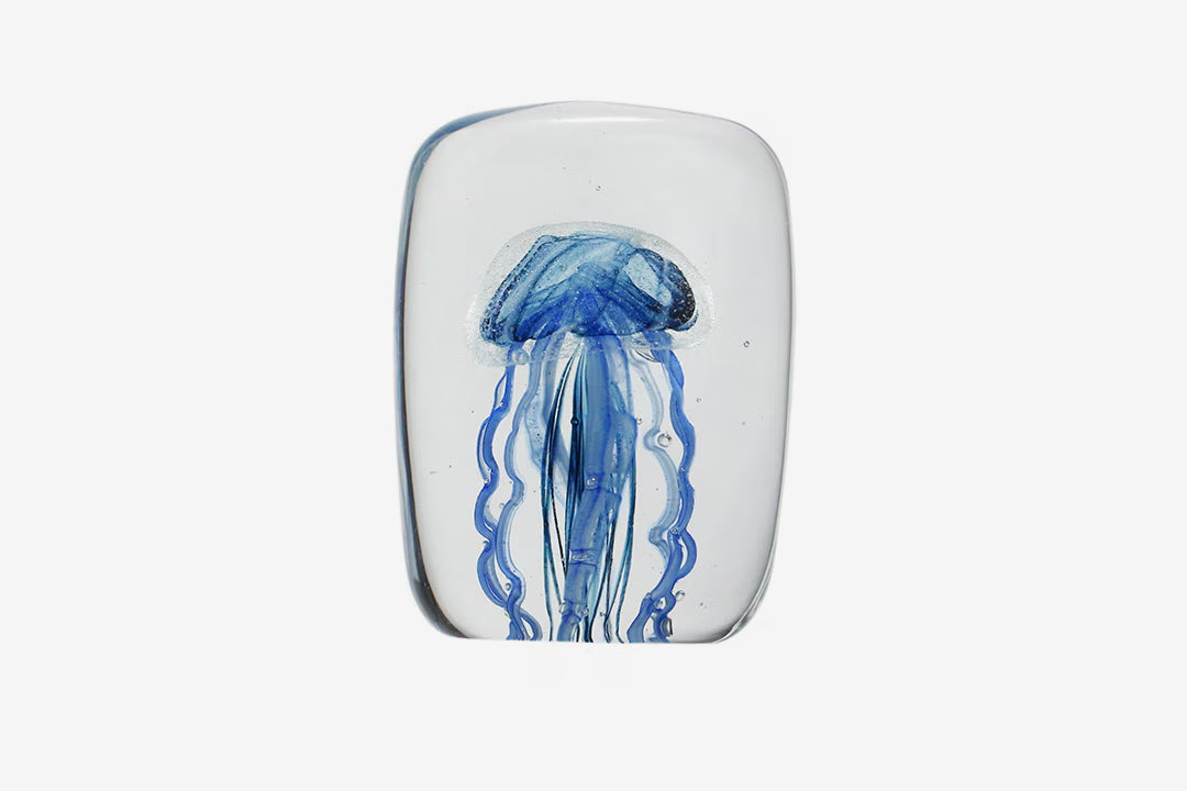 Here by Detail Jellyfish Paper Weight - Square/Blue | Flywheel | Stationery | Tasmania