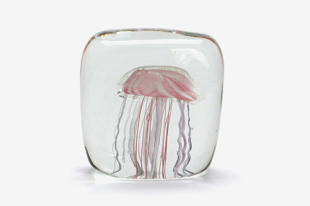 Here by Detail Jellyfish Paper Weight - Square/Pink | Flywheel | Stationery | Tasmania