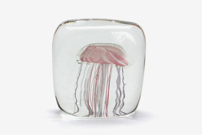Here by Detail Jellyfish Paper Weight - Square/Pink | Flywheel | Stationery | Tasmania