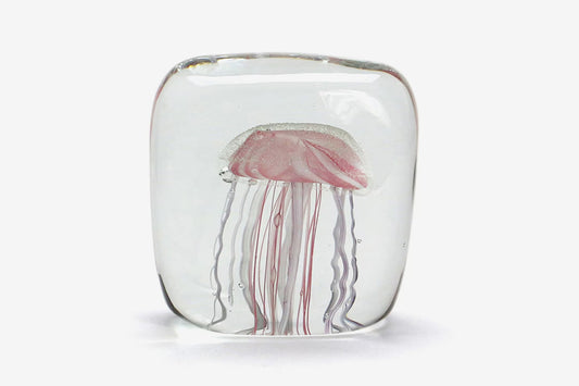 Here by Detail Jellyfish Paper Weight - Square/Pink | Flywheel | Stationery | Tasmania