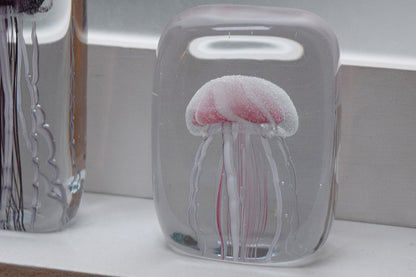 Here by Detail Jellyfish Paper Weight - Square/Pink | Flywheel | Stationery | Tasmania