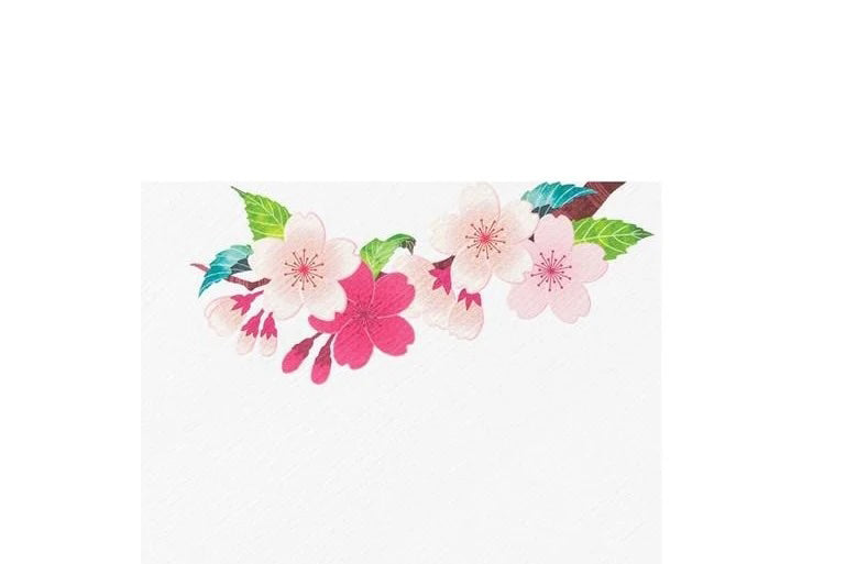 Kami Letter & Envelope Set - Cherry Blossom General Flywheel Stationery Tasmania
